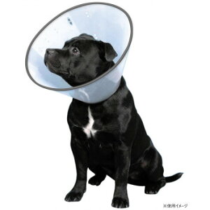 FANTASY WORLD�@���E�L�p���N���N�y�b�g�J���[�@VET Collar(�x�b�g�J���[)�@M�T�C�Y�@�N���A�EVC-3�y���[�J�[�����F��������s�F�����s�z�y�k�C���E����E�����͔z�B�s�z