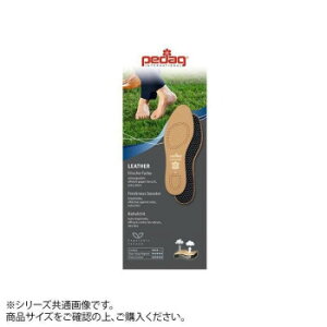 Pedag(y_bN) C\[ U[ 28.5`29.0 45y[J[FsFszykCEE͔zBsz