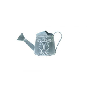 WE 82022y[J[FsFszykCEE͔zBsz