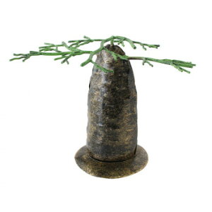 uL oIouANZT[X^h S 10219890053y[J[FsFszykCEE͔zBsz