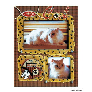 tHgt[ Lbg 35071y[J[FsFszykCEE͔zBsz