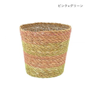 i[Z[|bg V[OX sN×O[ 13623812155y[J[FsFszykCEE͔zBsz