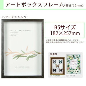 A.P.J. BOXフレーム アートボックスフレーム(高さ:35mm) B5サイズ(182×257mm) ヘアラインシルバー 0021768726【メーカー直送:代金引換不可:同梱不可】【北海道・沖縄・離島は配達不可】