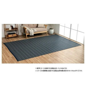���{�� �􂦂邢�����J�[�y�b�g �l�C�r�[ �c�n��2�� ��170×170cm 1090031190202�y���[�J�[�����F��������s�F�����s�z�y�k�C���E����E�����͔z�B�s�z