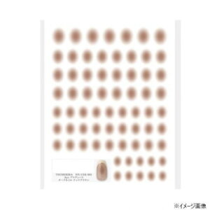 TSUMEKIRA(ツメキラ) ネイルシール Ayaプロデュース チークネイル ナッツブラウン NN-CEK-001【配送方法:メール便/同梱不可/代引不可/日時指定不可】【北海道・沖縄・離島は配達不可】