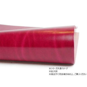 ؂v KgV_[ʒF AUAsN 1 Pkawa024H-11-15y[J[FsFszykCEE͔zBsz