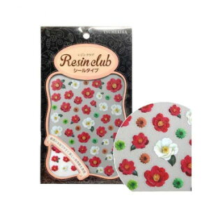 WNu@WV[@ảԁ@ց@(ʈ)@RC-WFT-101yz@:[/s/s/wszykCEE͔zBsz