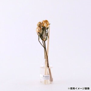 u̔ GbZVIC̃fBt[U[hCt[̃Zbg BERGAMOT 250028Cy[J[FsFszykCEE͔zBsz