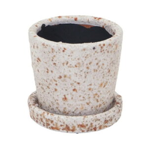 MURATAYA p`B|bg S XeBzCg 1536y[J[FsFszykCEE͔zBsz