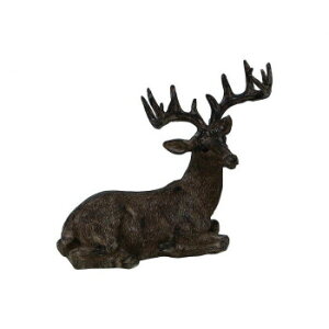 XgmG giJC (S) A 400875701y[J[FsFszykCEE͔zBsz