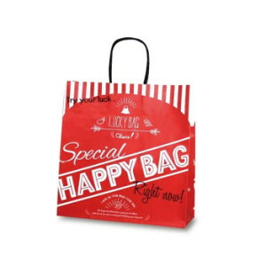 R T-6 HAPPY BAG 1609 50y[J[FsFszykCEE͔zBsz
