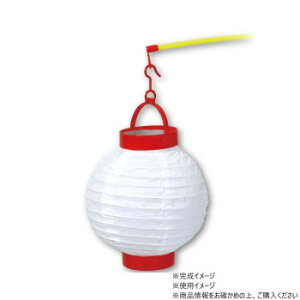 A[ebN LEDt傤(t) 55908y[J[FsFszykCEE͔zBsz