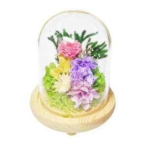 p()@KXh[AWg@vU[uht[@ԏd(͂Ȃ)@sN@C36820y[J[FsFszykCEE͔zBsz