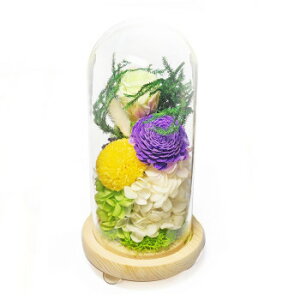 p()@KXh[AWg@vU[uht[@ؔT(ЂȂ)@O[@C36340y[J[FsFszykCEE͔zBsz