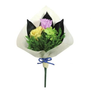 vU[uhԁ@ق̂ J[l[V/CG[@C20430y[J[FsFszykCEE͔zBsz