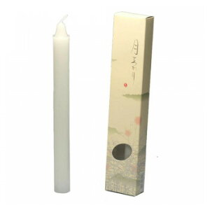 CX [\N 15 2{ 131-11y[J[FsFszykCEE͔zBsz