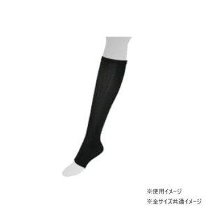 gci cJiC I[vT|[^[ Ë@T|[^[(eXgbLO) ubN M 1(2)y[J[FsFszykCEE͔zBsz