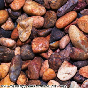 }cgY }gVREʍ HN 2(5`7mm)O 20kgy[J[FsFszykCEE͔zBsz