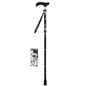 EFt@ CtXebL XlbN܏X^Cv() ubN`F[ 009735y[J[FsFszykCEE͔zBsz