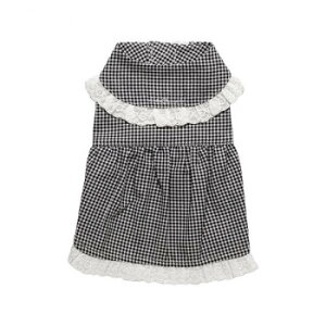 ybgpi hbOEFA `FbNs[X Black/ubN STCY DG-CHK01-Sy[J[FsFszykCEE͔zBsz