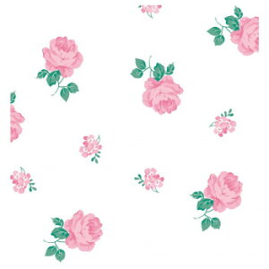 @Vv[Y@@lZ1/2 100 XZK10110y[J[FsFszykCEE͔zBsz