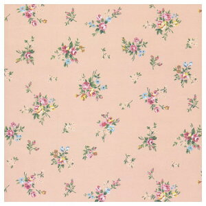 @Ԃ@lZS 100 XZK00092y[J[FsFszykCEE͔zBsz