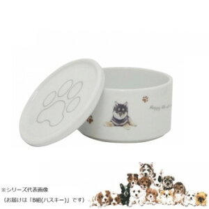R X^bJ[SET() Bg(nXL[) wa-se100-S31y[J[FsFszykCEE͔zBsz