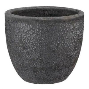 O[|bg Aؔ {J[m Eh FubN 33cm EB-VO3329BKy[J[FsFszykCEE͔zBsz