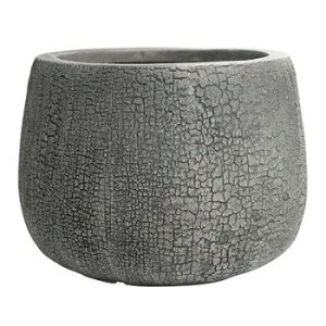 O[|bg Aؔ o[Ebh V[ O[ 32cm GA-2932GYy[J[FsFszykCEE͔zBsz