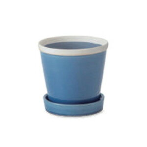 PLUS the green ObV[|bg Tt@CA 30805y[J[FsFszykCEE͔zBsz