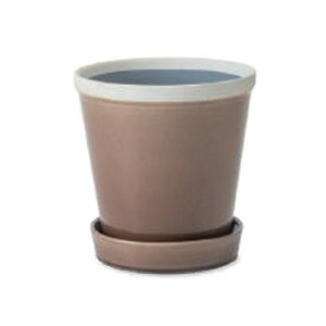 PLUS the green ObV[|bg A[X 30810y[J[FsFszykCEE͔zBsz