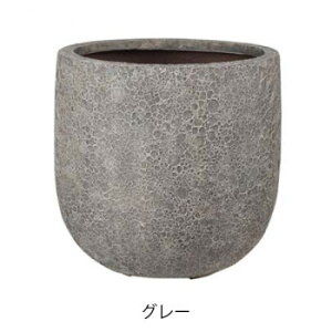 O[|bg Aؔ @Cg U|bg O[ 32cm EB-VL3232GYy[J[FsFszykCEE͔zBsz