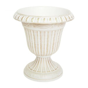 cY [}v|bg L Cream 3655y[J[FsFszykCEE͔zBsz