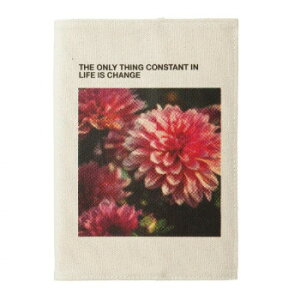 LoX_CA[Jo[01 B6EB[N[ A(_A) LDC17-160Ay[J[FsFszykCEE͔zBsz