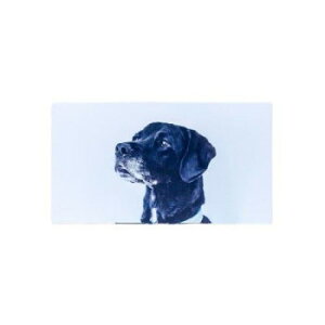 �܂��ɂ� �����ً}�ЊQ�p���~�g�C�� �A�[�g�g����ATW-50(50��) 501003�y���[�J�[�����F��������s�F�����s�z�y�k�C���E����E�����͔z�B�s�z