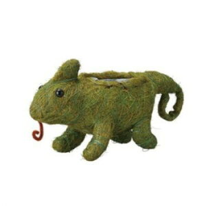 GREEN HOUSE �Ђ��܂�A�j�}���|�b�g �J�����I�� 5391�y���[�J�[�����F��������s�F�����s�z�y�k�C���E����E�����͔z�B�s�z