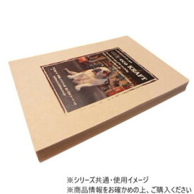 石原紙工 エコクラフト A4サイズ 100枚入 ECOA4-100 ラッピング クラフト紙【メーカー直送：代金引換不可：同梱不可】【北海道・沖縄・離島は配達不可】