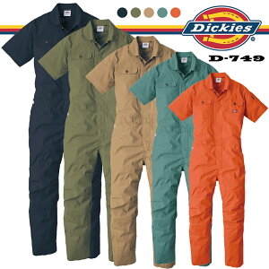 fBbL[Y Dickies Xgb` CVC  Ȃ D-749 [DICKIES ciM [NEFA  ƕ ƒ  n jp jZbNX]