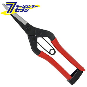 Y K[f TbN SGP-45 [|  ]