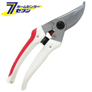 y|Cg5{zY K[f TbN SGP-43 [|  ]y|CgUP:2025N111410:00`1116 23:59܂Łz