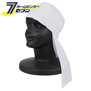 Y p⊴^(Xqt) SCT-2 [|@ @ ی]