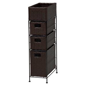 �`�F�X�g (��)��20.5×���s40.5×����80cm RAN-2406DBR ����