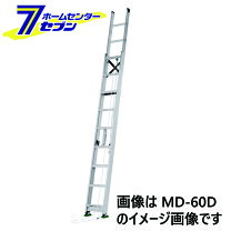 楽天市場】2連はしご 6mの通販