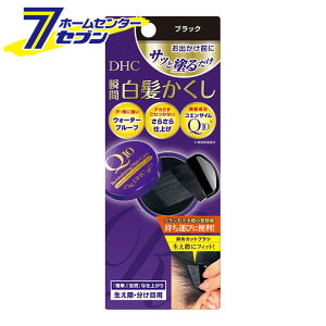 DHC Q10NCbNiSSjubN fB[GC`V[ [wAPA g |Cg]