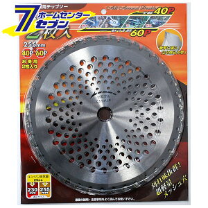 n pr2g 255x40E60P ACEbh [@ `bv\[ ֐n]