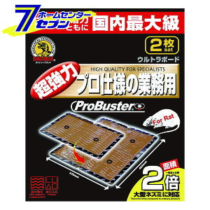 ^Eg{[h 2P SHIMADA [ 悯]