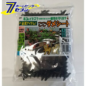 _V[g ubN 10 rj[ [_Ǝ |pi]