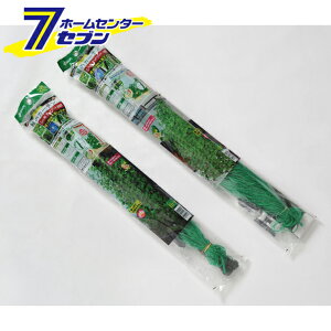 ΂̃J[e 5m݉ Ch1800 rj[ [_Ǝ |pi]