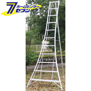 A~|Or 11 KWX330 ACR [|  Or Ƒ]