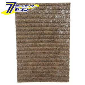 �l�H���� �ꖇ�� 20X40CM �^�J�V���[ [���|�p�i �_�Ǝ��� ���[�v]